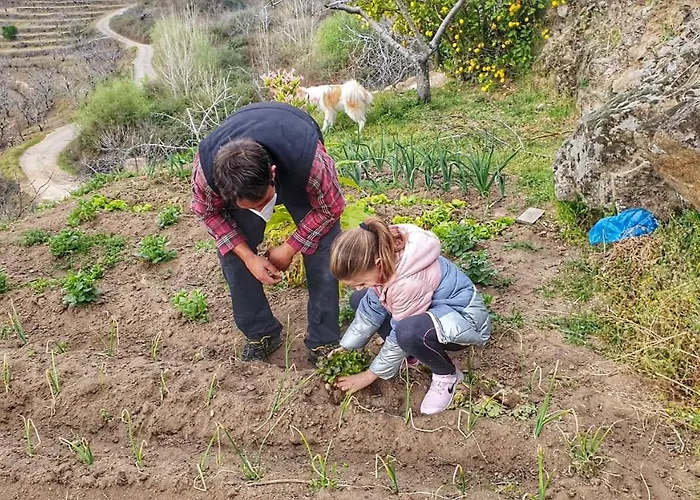 Alpehytte Cerras Jerte